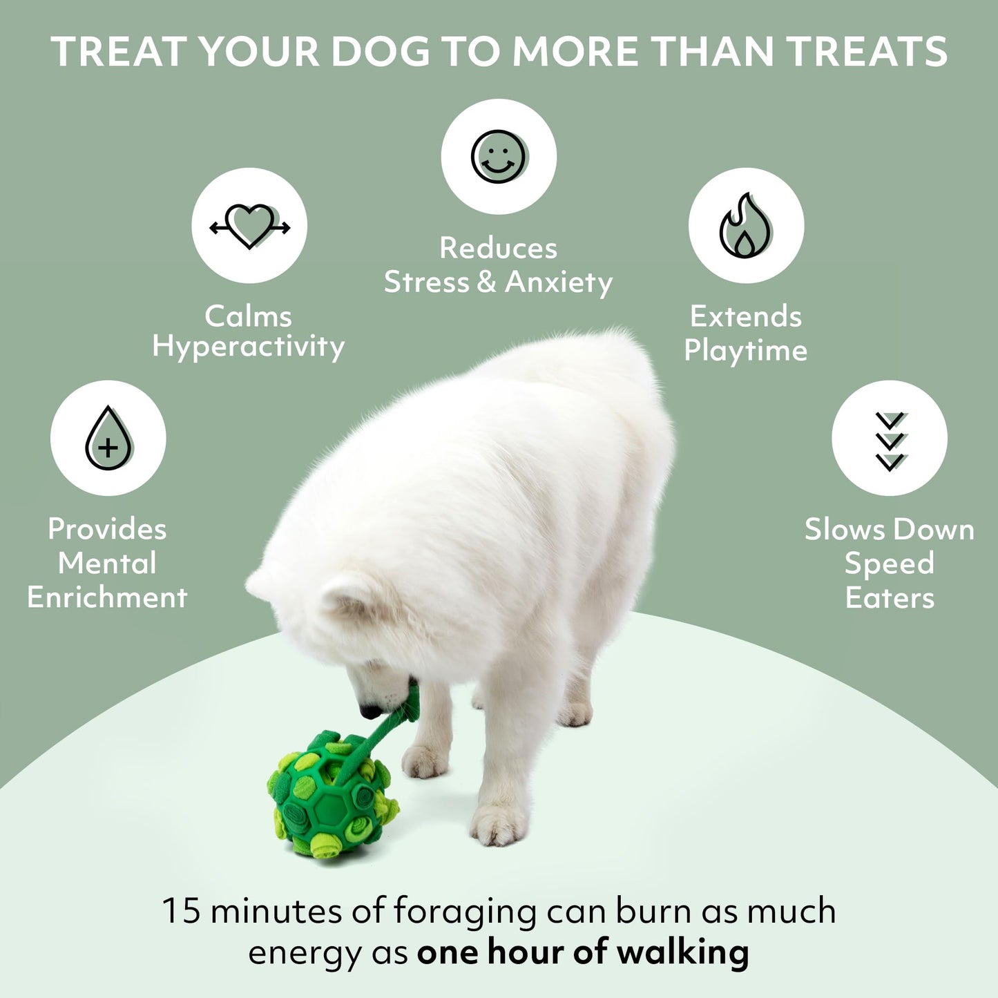 Reggie Forager Ball for Dogs | Mealtime Enrichment Toy | Reduces Boredom, Hyperactivity, Stress | Vet-Approved & Ideal for All Ages, Breeds, and Sizes