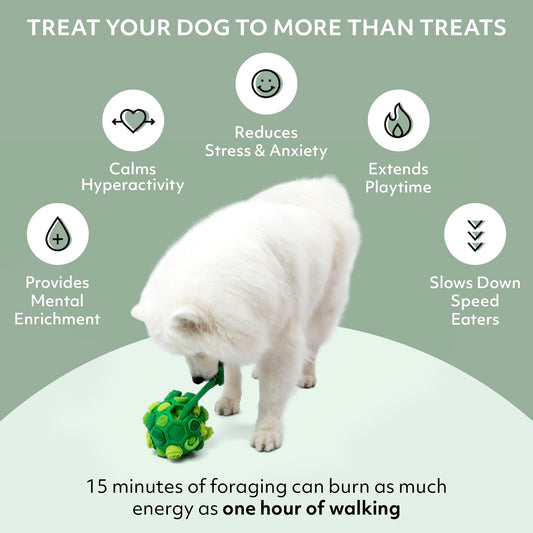 Reggie Forager Ball for Dogs | Mealtime Enrichment Toy | Reduces Boredom, Hyperactivity, Stress | Vet-Approved & Ideal for All Ages, Breeds, and Sizes