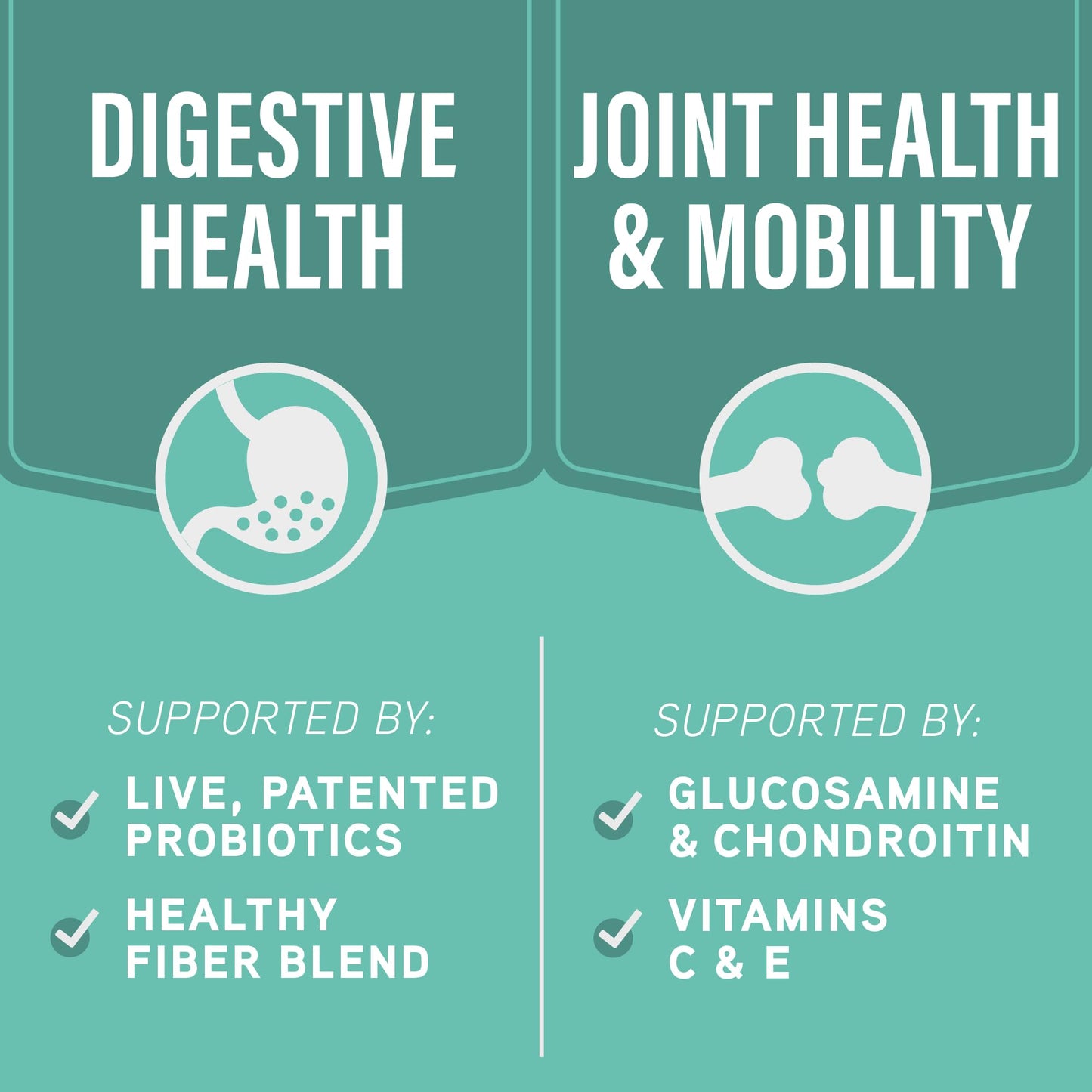 Natural Balance Specialized Nutrition Dry Dog Food with Chicken and Oatmeal for Dogs, Small Breed Digestive & Joint Health, Natural Ingredients with Added Vitamins & Minerals - 12 lbs