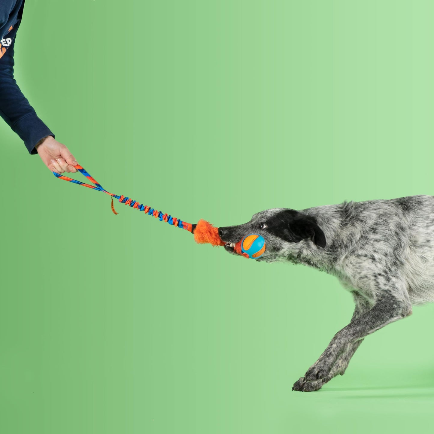Tug-E-Nuff - Fauxtastic PowerBall Bungee | Durable Bungee Tug Toy for Dogs | Ideal for Interactive Dog Training and Dogs of All Ages | Made of Durable Faux Fur | 63cm (25 inches) in Length