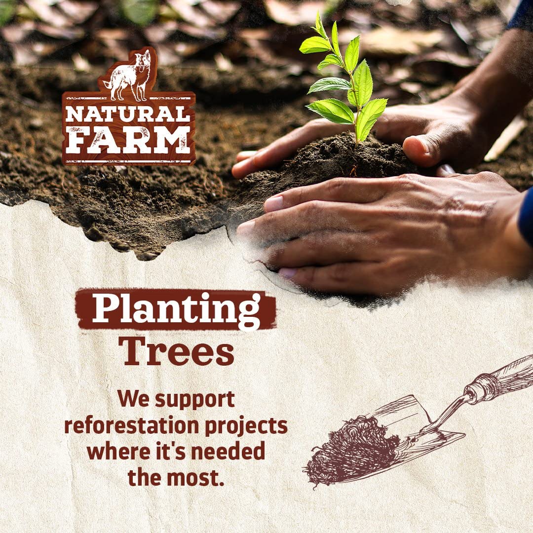 Solid Gold Healthy Weight Management Dry Dog Food for Adult & Senior Dogs - With Pollock, Whole Grain & Probiotics for Gut Health & Digestion Support - Dry Dog Food for Weight Management Support – 4LB