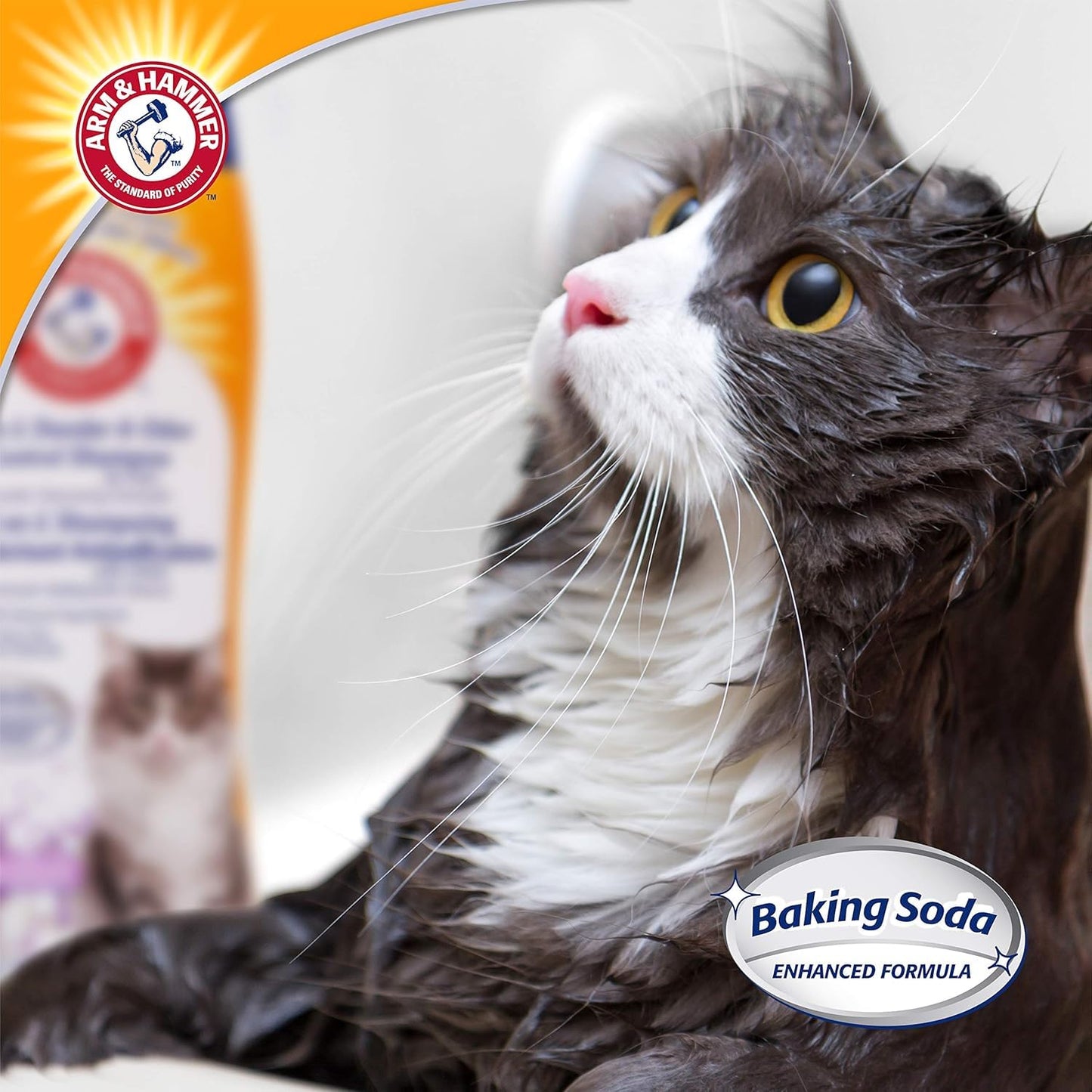 Arm & Hammer 2-in-1 Deodorizing & Dander Reducing Shampoo for Cats - Cat Dander Remover, Removes Cat Odors - Baking Soda Moisturizes and Deodorizes, Lavender Chamomile Scent, 20 Fl Oz - 2 Pack