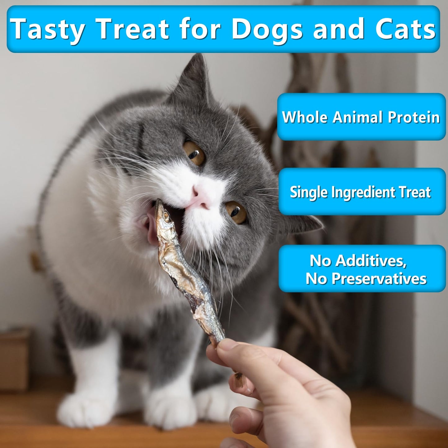K9 Connoisseur Single Ingredient Dog Bones Made In USA For Large Breed Aggressive Chewers All Natural Long Lasting Meaty Mammoth Marrow Filled Bone Chew Treat Best For Dogs Over 50 LBS -Goliath 1 Pack