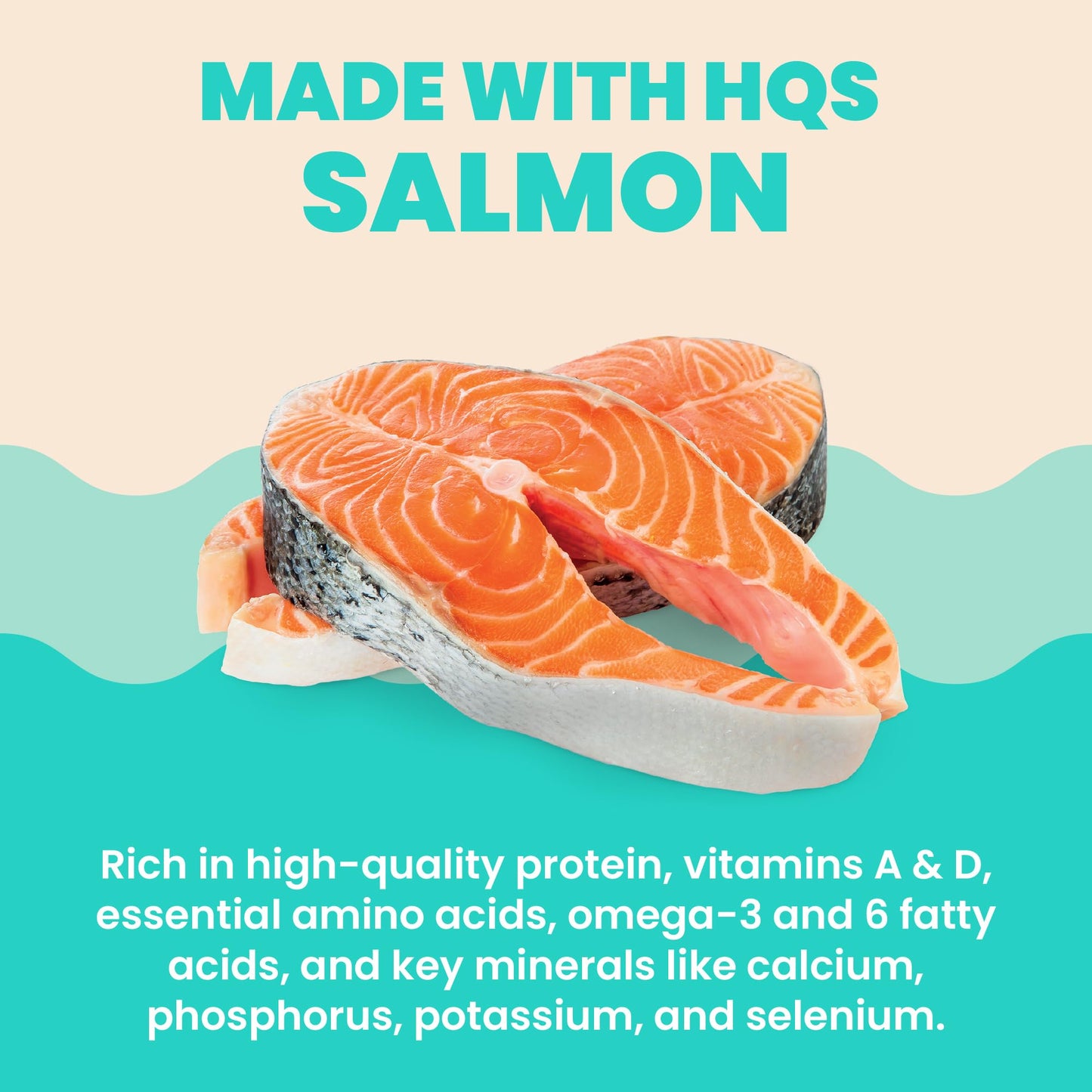 almo nature HQS Hydration Help - Wet Cat Food - Salmon Broth with Salmon Fillet, Flake and Broth - Wet Cat Food for Adult Cats - Additive Free, Grain Free - Pouches, 1.77oz (Pack of 12)