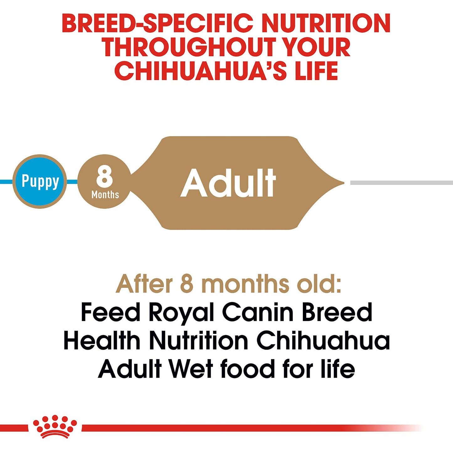 Royal Canin Breed Health Nutrition Chihuahua Adult Loaf in Sauce Dog Food, 3 oz (Pack of 6)