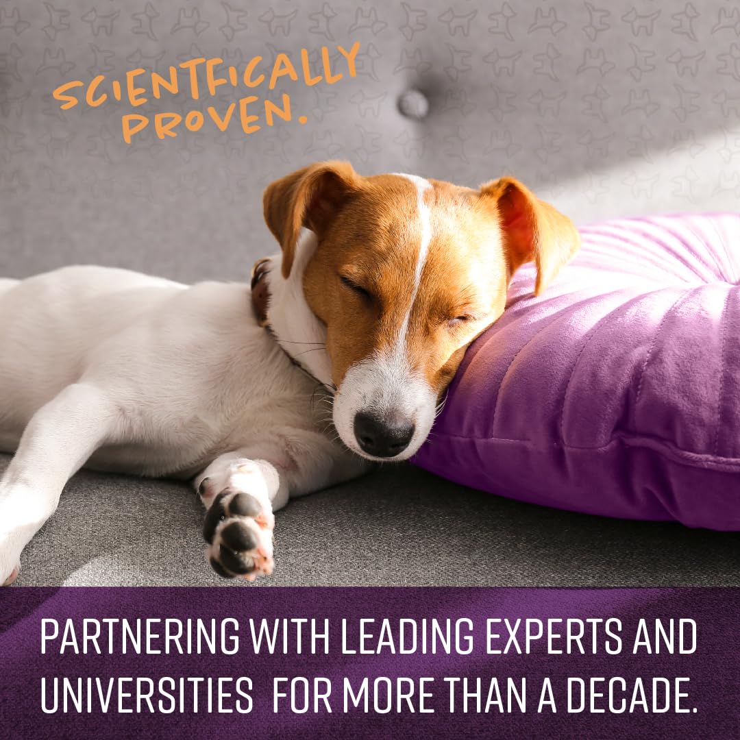 Sentry Calming Chews for Dogs, Calming Aid Helps to Manage Stress & Anxiety, with Pheromones That May Help Curb Destructive Behavior & Separation Anxiety, Health Supplement for Dogs, 60 Count