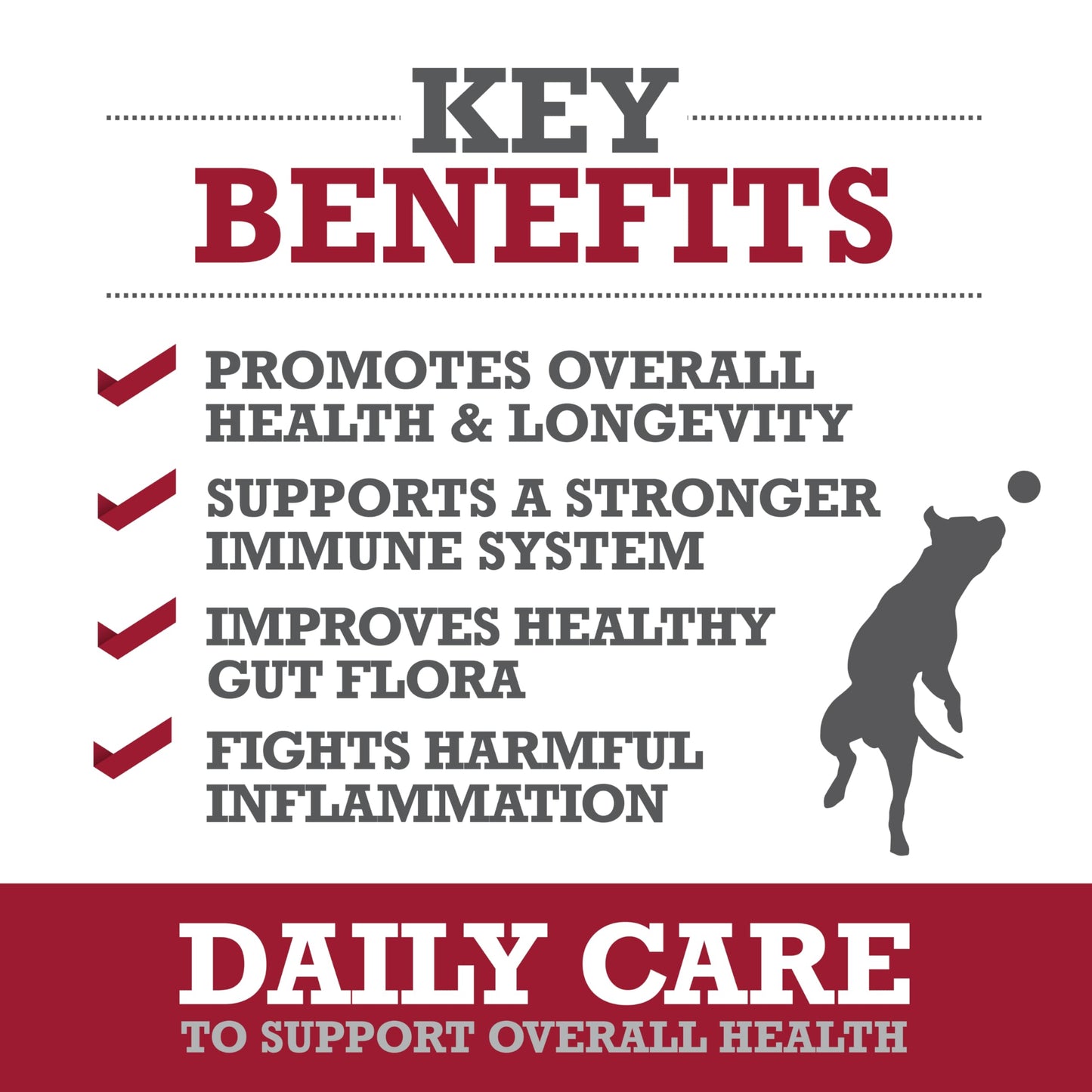 WINPRO Pet Daily Care Chews for Dogs, 60 Soft Chews, Plasma Powered, Grain Free Supplement for Dogs Providing Vitality and Immunity Support