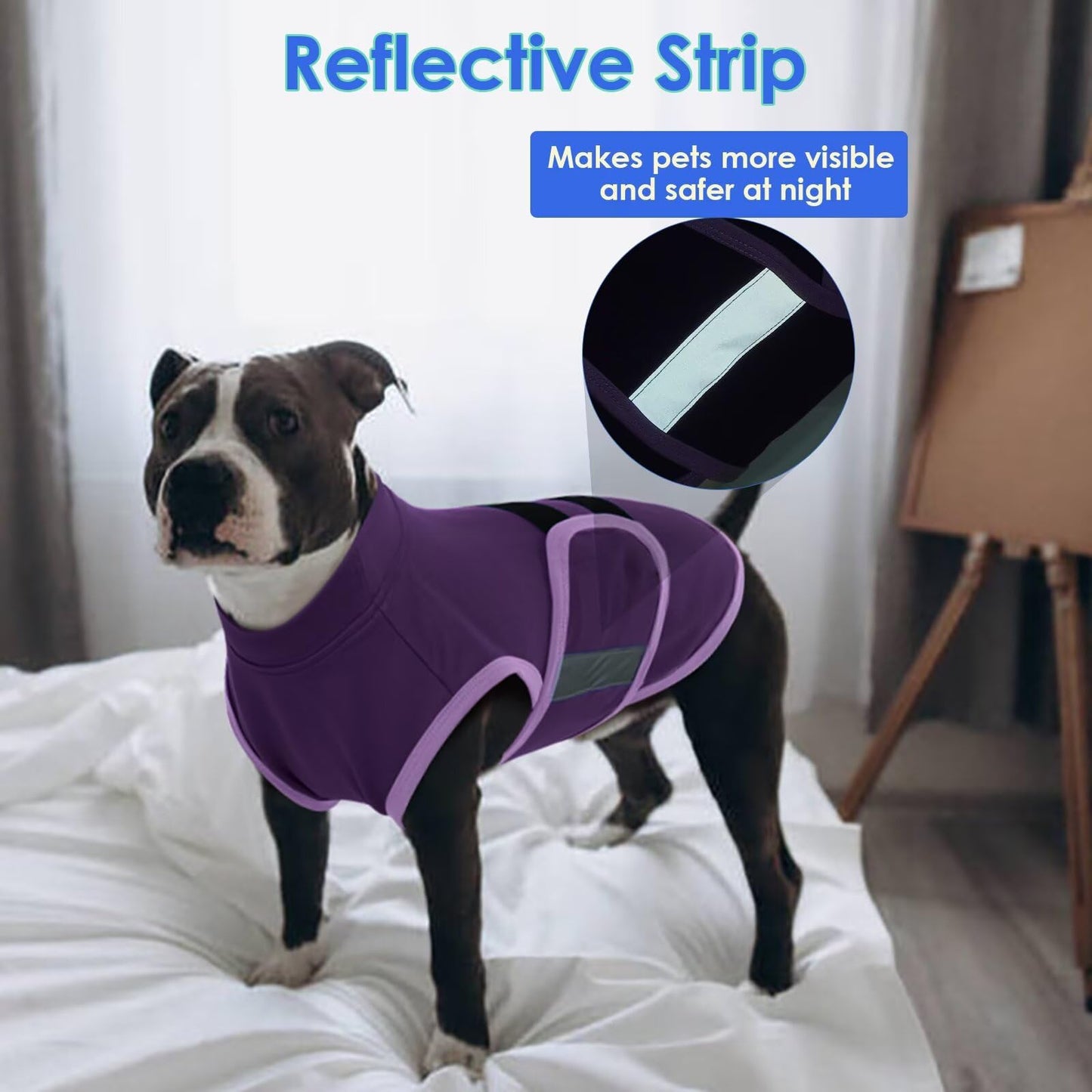 STELLAIRE CHERN Small and Large Breed Interactive Sniff Mat for Slow Eating Keep Busy Stress Relief Dog Mental Stimulation Toys Snuffle Mat for Dogs, Spliced Three-in-one