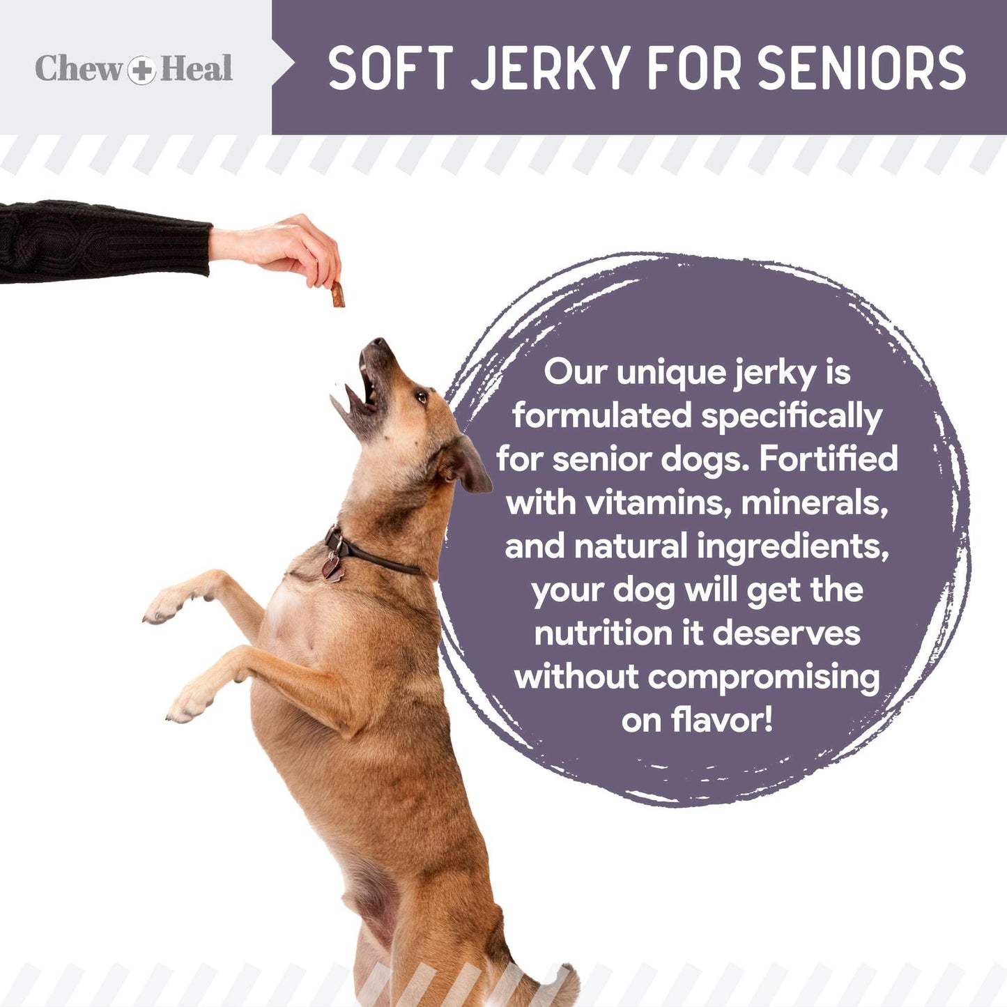 Seniors Soft Jerky Salmon Dog Treats - 12 oz of Omega Dog Joint Supplement, Wild Caught Salmon and Turmeric Jerky - Made in The USA