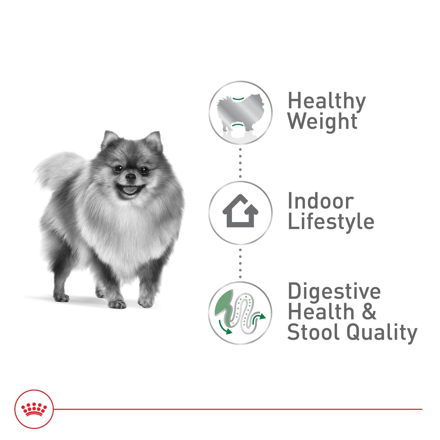 Royal Canin Size Health Nutrition Small Indoor Adult Dry Dog Food, 2.5 lb Bag