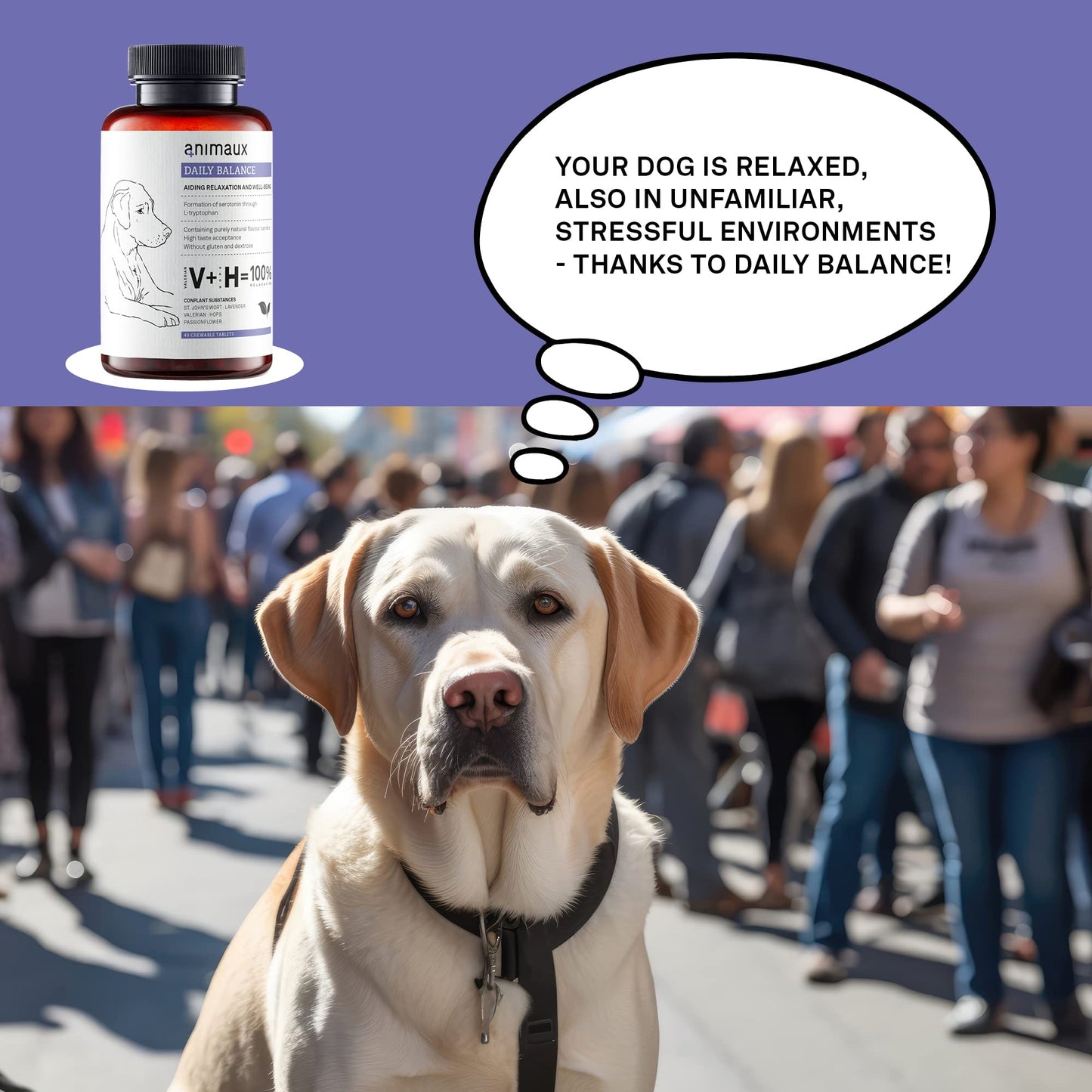 animaux Daily Balance – 40 Chewable Tablets for Dogs with Valerian, St. John's Wort & Lavender | Herbal Supplement for Dogs