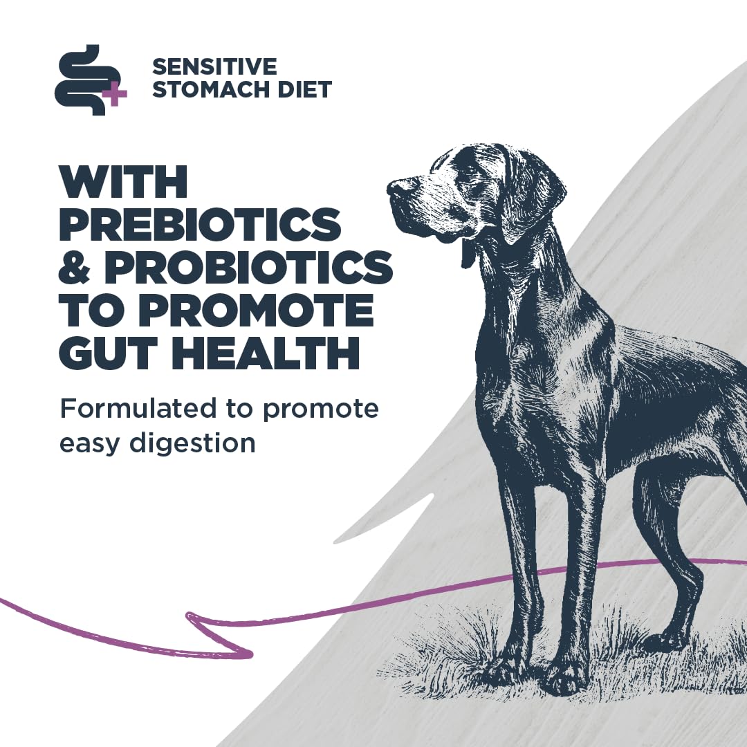 Blackwood Sensitive Skin & Stomach Dry Dog Food, Salmon Meal & Brown Rice with Ancient Grains, 10 Pound Bag with Prebiotics & Probiotics to Promote Gut Health