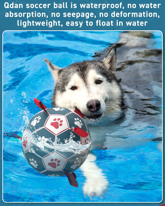 QDAN Dog Toys Soccer Ball with Straps - Durable Giant Dog Balls, Outdoor & Water Toys, Herding Ball, Birthday Gifts (10 Inch)