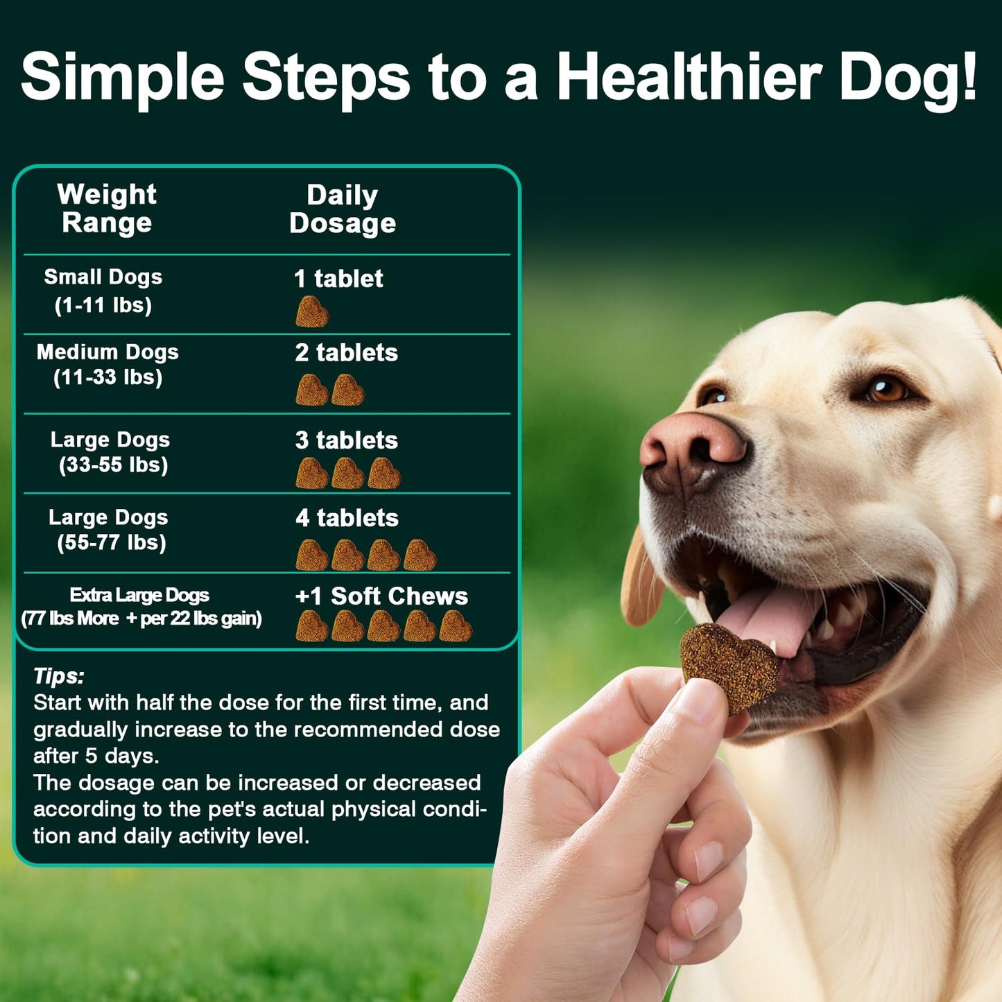 Dog Allergy Relief Chews Itching Skin is Human Multivitamin Pet Allergy Anti Itch Paw Relief and Immune Dog Chews Bites Antihistamine for Dogs Itching and Licking Weight Loss Management Support 200
