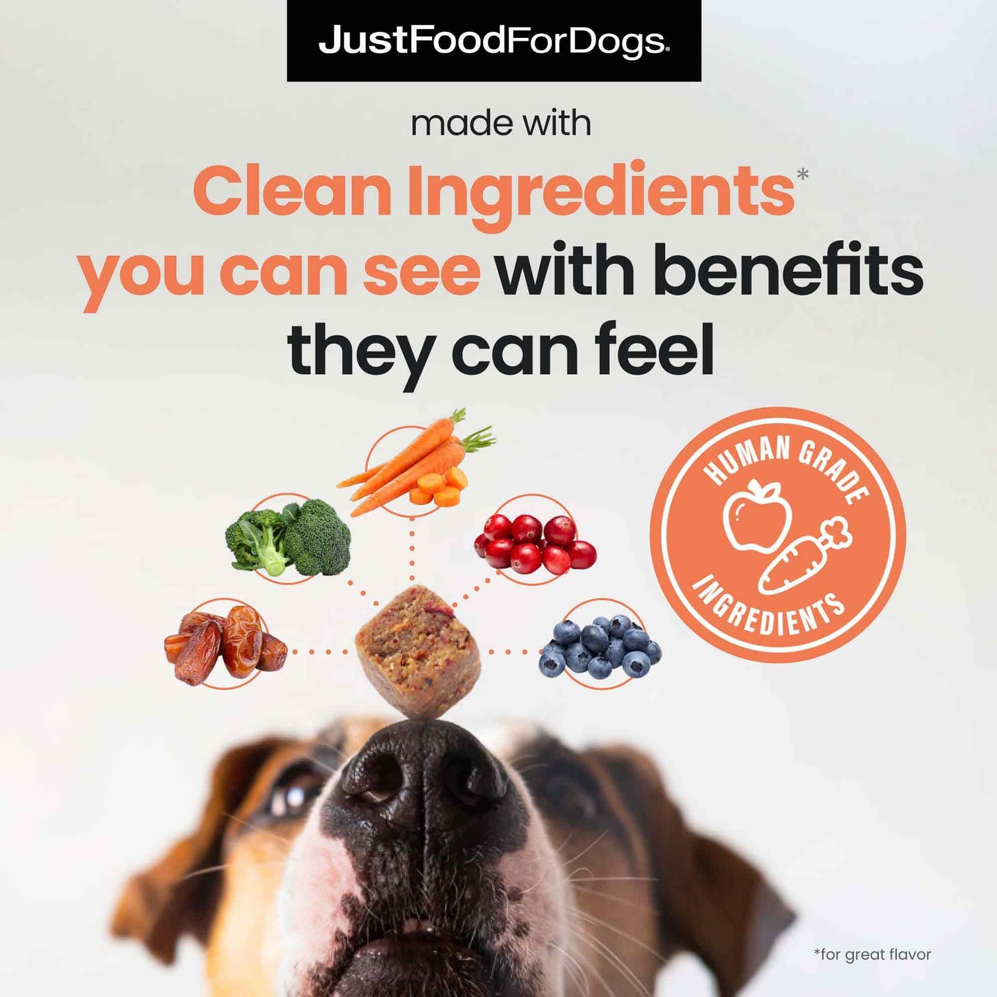 JustFoodForDogs 10-in-1 Multifunctional Supplement Chews for Dogs, Superfood Blend, Glucosamine, Omega-3 Fatty Acids, Skin Health, Joint Health, Probiotics, Plant-Based, Human Grade - 45 Count