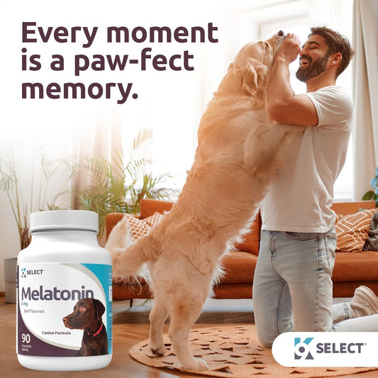 K9 Select Multi-Formula Dog Supplement Bundle: 90 Peanut Butter Chewable Tabs (10mg HMR Lignans, 1mg Melatonin, 20mg Milk Thistle) & Melatonin for Dogs (3 mg, 120 Beef Flavored Tablets), Small Breeds