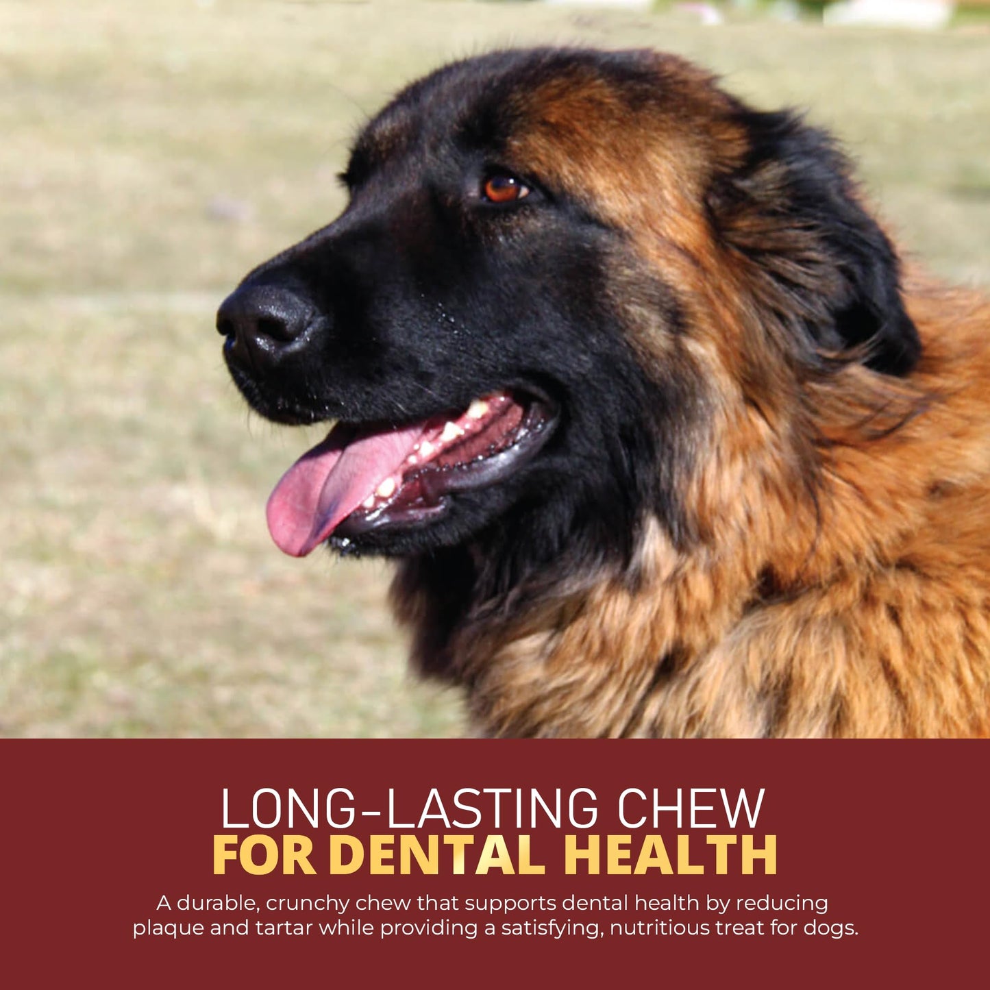 Mr Ros Natural Beef Cartilage for Dogs - Premium Collagen Chews for Aggressive Chewers - Long Lasting Dog Treats for Joint and Skin Health - Healthy Pet Treats - 150g per Bag