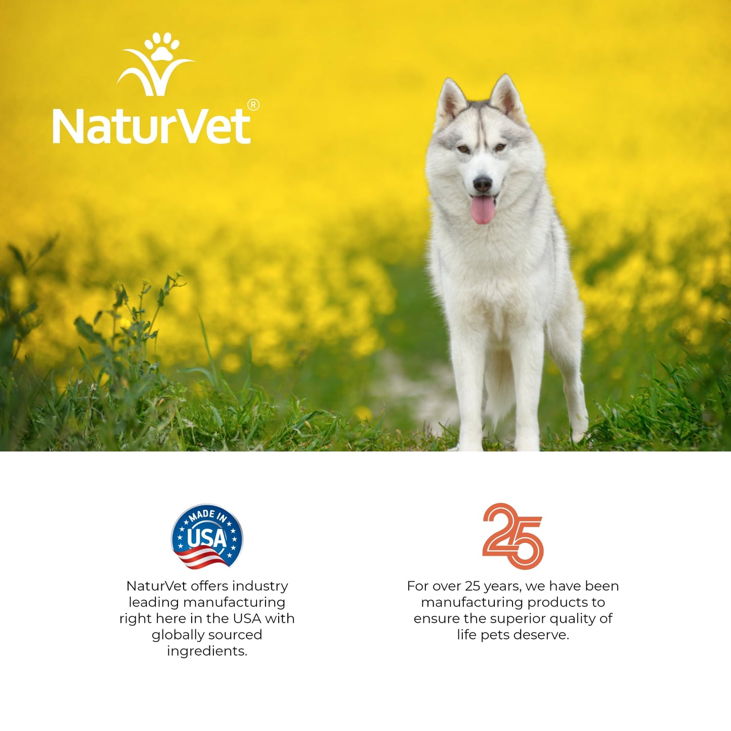 NaturVet Hemp Hypoallergenic Shampoo with Oat and Aloe for Dogs, 16oz Liquid, Made in The USA