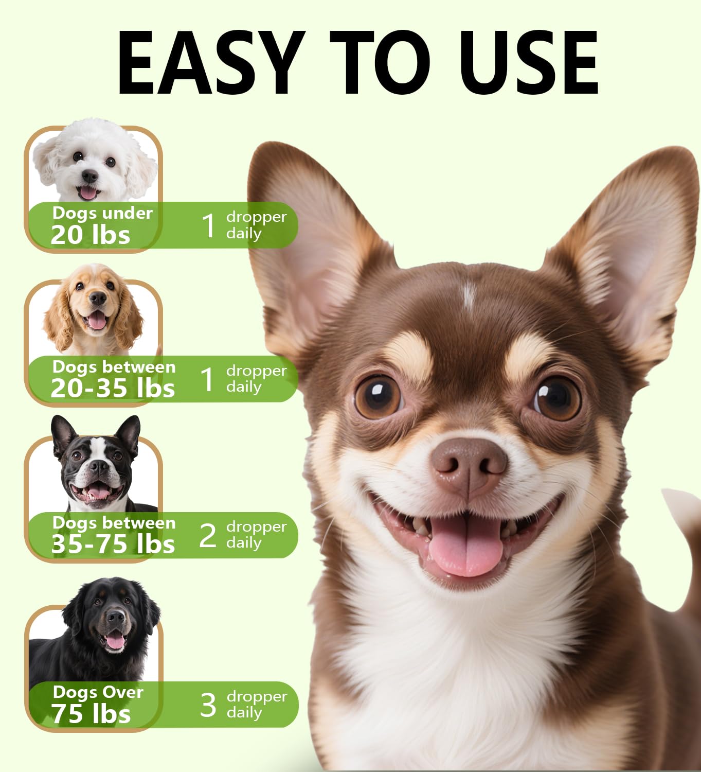 PuPulse Antibiotics for Dogs | Natura Antibiotics for Dogs | Dietary Supplement Pet Antibiotic | Dog Vitamins and Supplements | Dog Antibiotic | 2 Oz