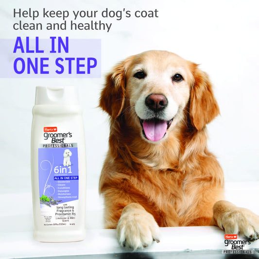 earthbath Hypoallergenic Natural Aloe Dog Shampoo - Puppy Shampoo for Dry, Itchy, & Sensitive Skin, Dog & Cat Anti Itch Pet Wash, Fragrance Free - 16 Oz (1 Pack)