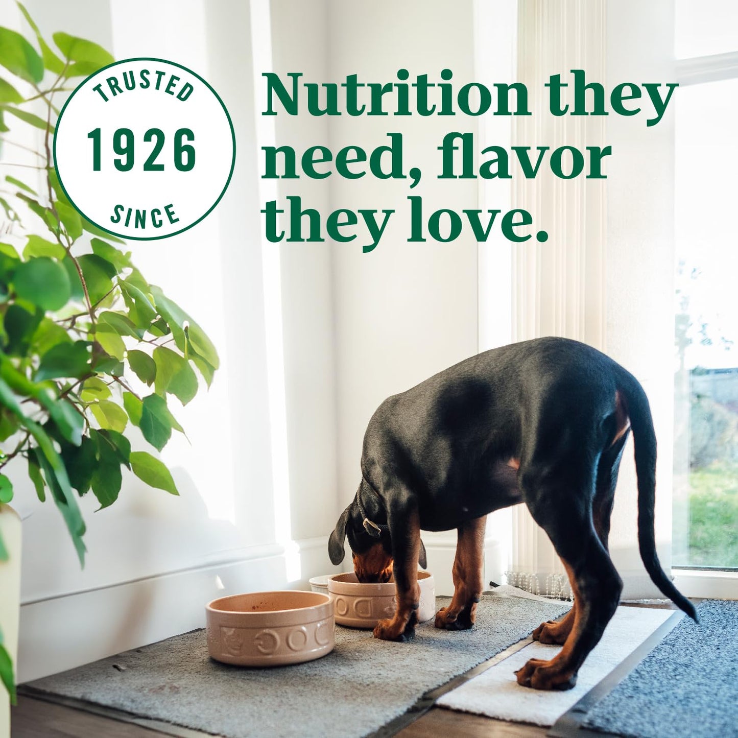 Nutro Ultra Large Breed Puppy Dry Dog Food, Chicken, Lamb and Salmon Protein Trio, 22 lb Bag