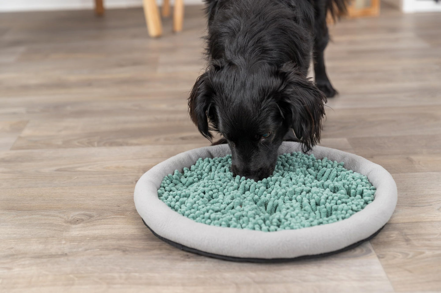 TRIXIE Snuffle & Seek Plate, Snuffle Mat for Dogs, Level 1 Interactive Dog Toys, Enrichment Puzzle Slow Feeder