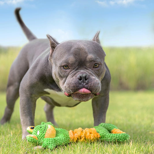 Sedioso Dog Tug Toy, Durable Dog Toys Large Breed, Tug of War Dog Squeaky Toy, Stuffed Plush Dog Toys with Crinkle Paper for Small, Middle, and Big Dogs(Tug of War Series, Frog)