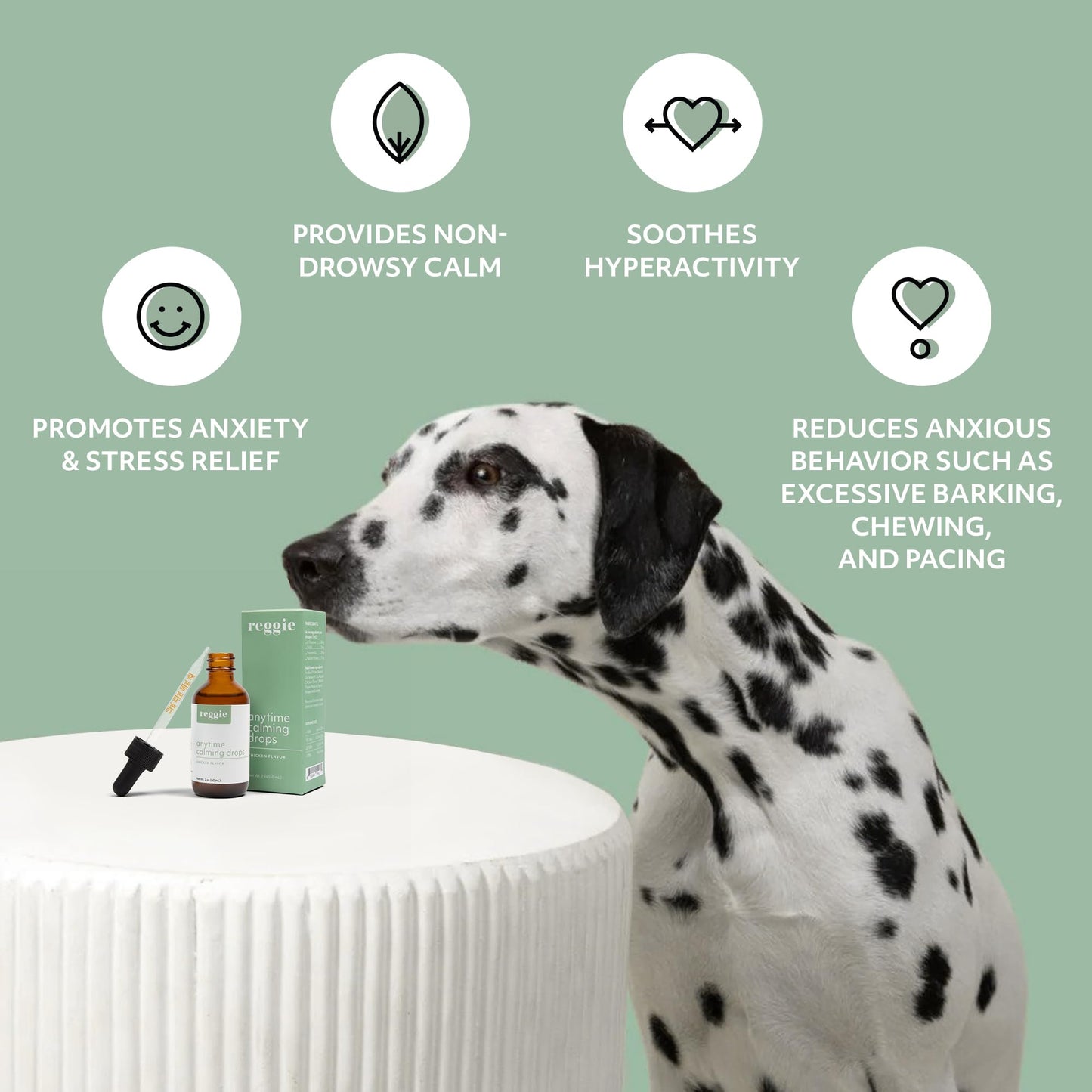 Reggie Anytime Calming Drops for Dogs | Natural Calming Tincture to Reduce Hyperactivity, Separation Anxiety, & Stress | Vet-Approved & Ideal for All Ages, Breeds, and Sizes - Chicken Flavor