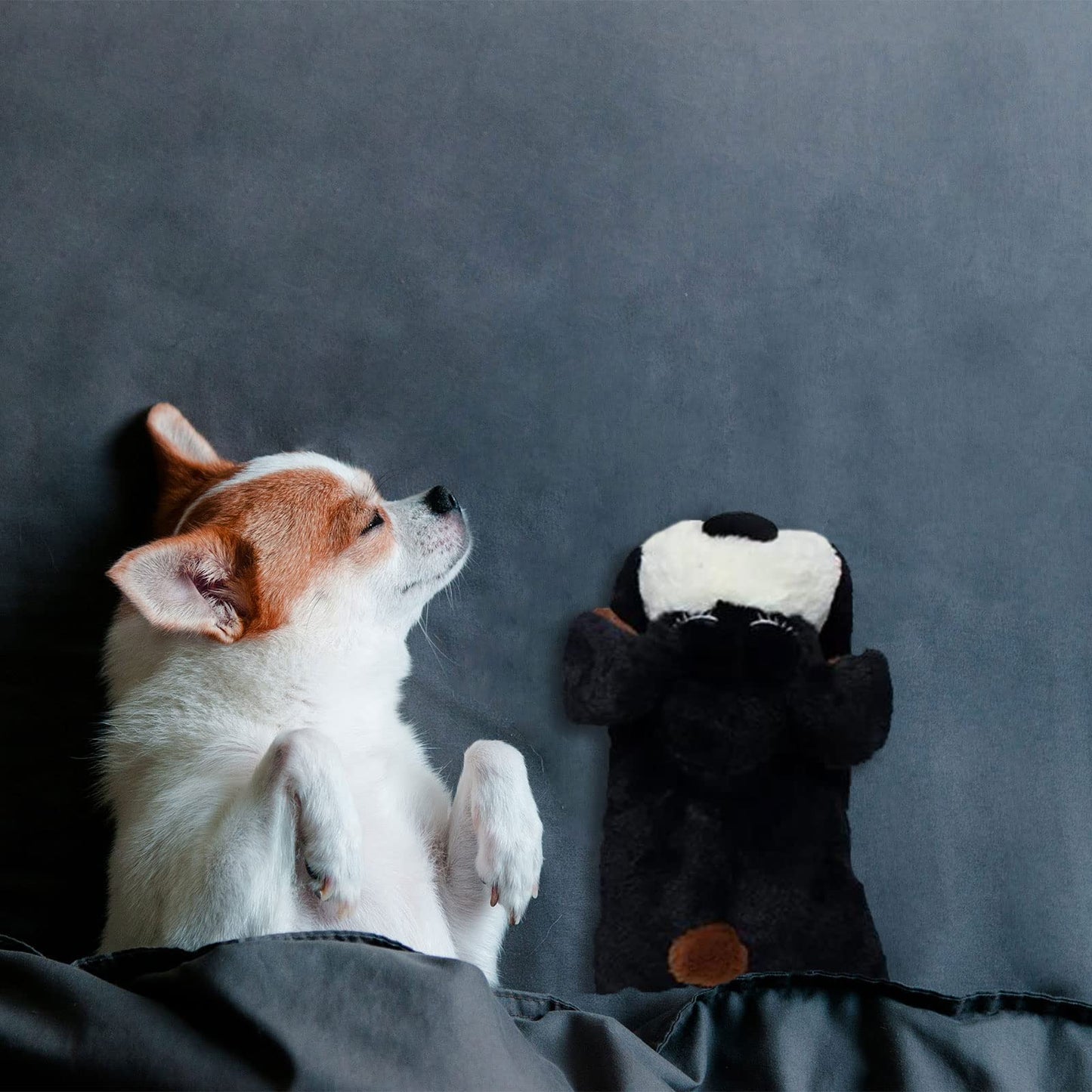 ZALBYUY Heartbeat Puppy Toy, Puppy Sleep Aid Toy, Small Dog Training Toys for Separation Anxiety Relief, Pets Plush Toys for Dogs Cats (Black)