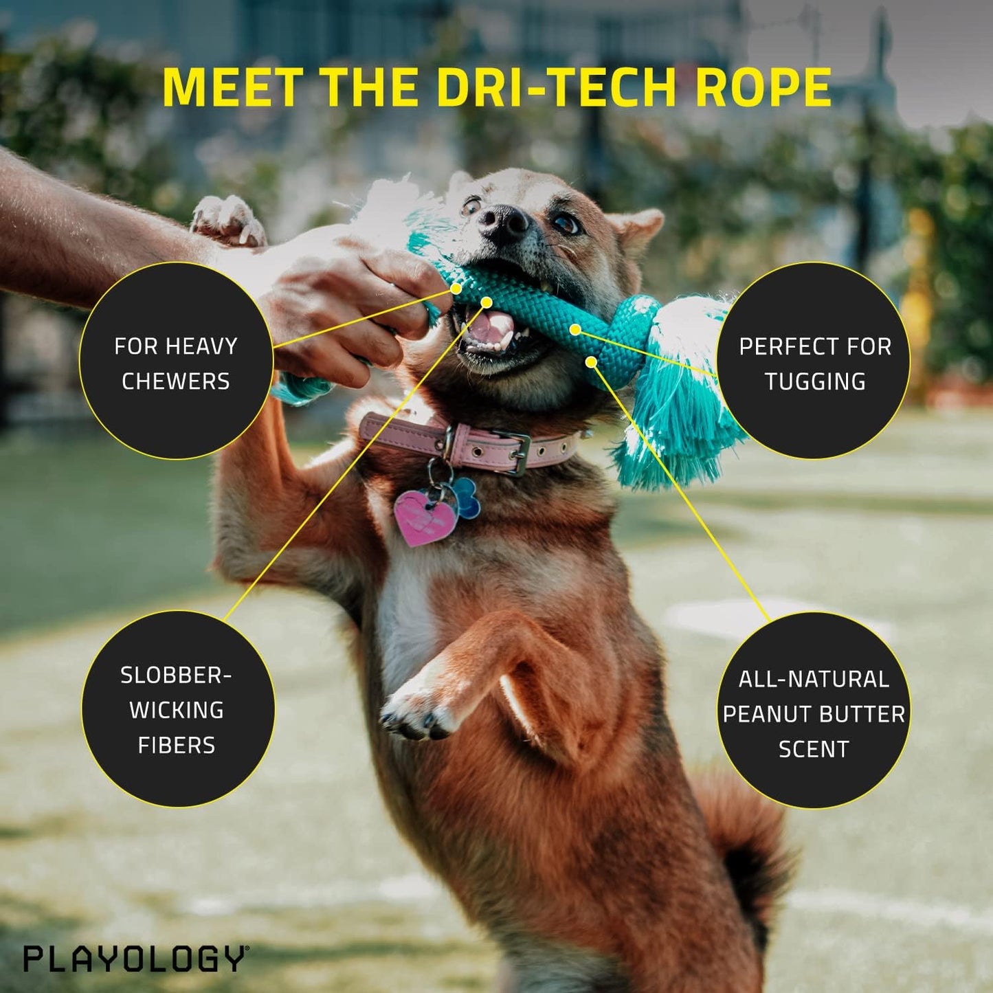 Playology Dri Tech Rope Medium Chew Toy, Peanut Butter & Beef, 2-Pack