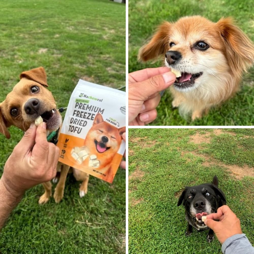 Nachewral Premium Freeze-Dried Tofu for Dog Treat/All Natural, Plant Based Protein, Gluten Free, Low Calories, High in Protein, Stomach Friendly, Vegan Treat w/Omega 6