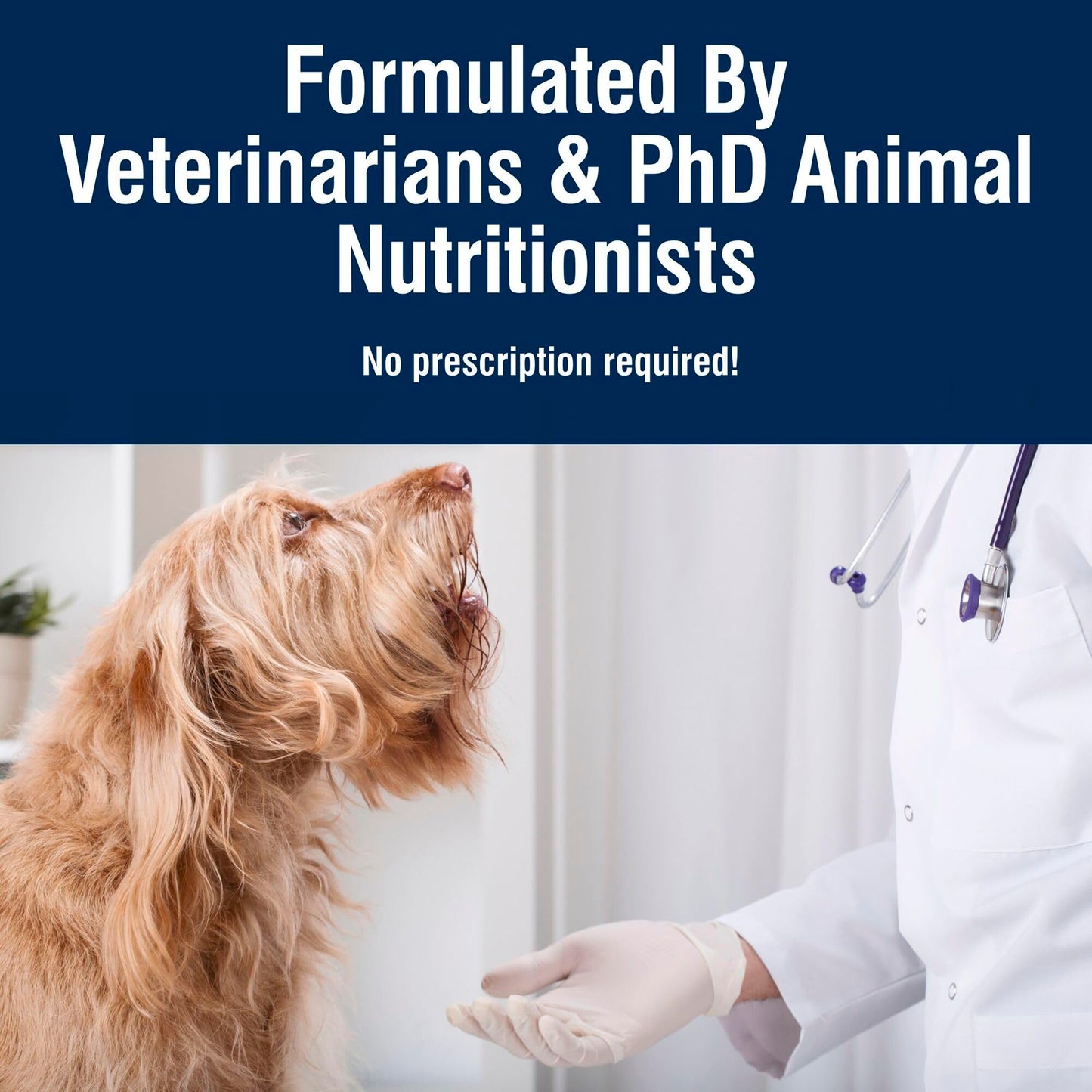 Blue Buffalo True Solutions Weight Control Natural Dry Dog Food for Adult Dogs, Chicken, 11-lb. Bag