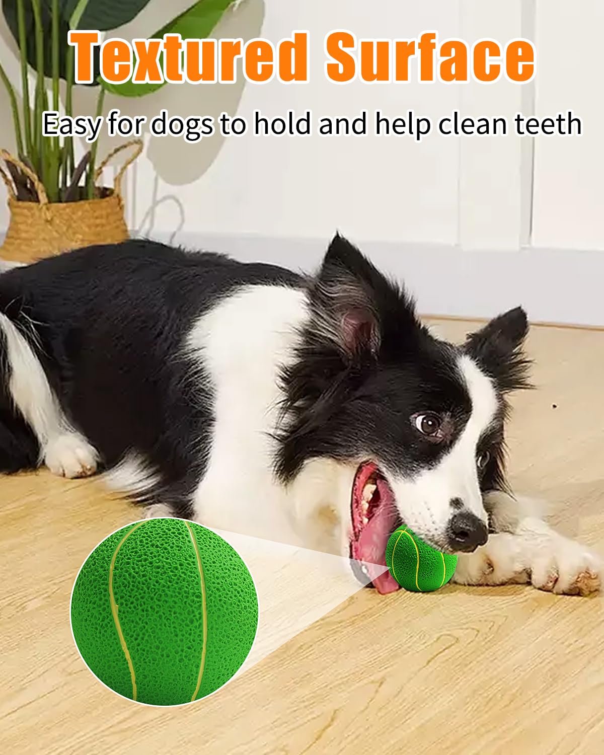 Squeaky Dog Balls, Interactive Funny Puppy Chew Toys for Fetch Play to Keep Them Busy, Latex Rubber Pet Tennis Soccer Ball Toy Bundle (4 Pack) for Medium Breed Dogs