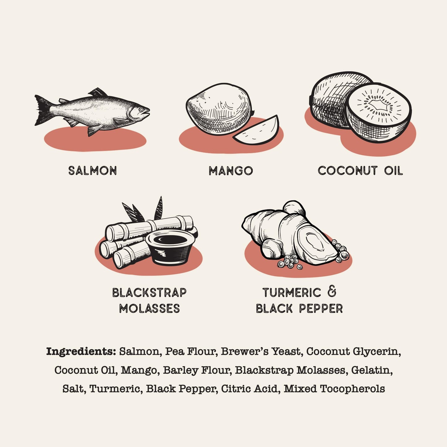 Dog Treat Naturals Salmon & Mango Superfood Sticks for Dogs | All-Natural Premium Training Dog Treats | Contains Turmeric for Joint Health | Made with Real Salmon & Mango | Made in USA | 6 Ounces