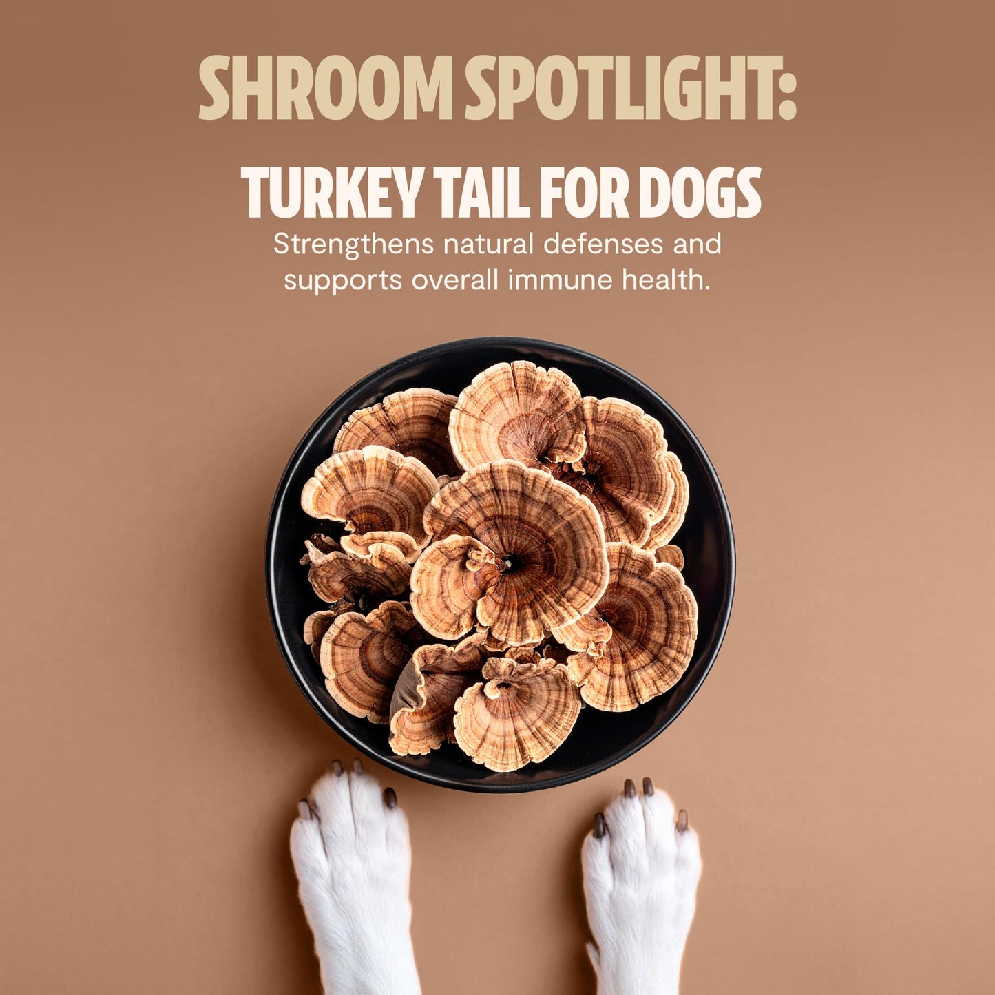 FreshCap Mushrooms Shroomies - 13 in 1 Turkey Tail Mushroom for Dogs, Super Blend Mushroom Supplement for Dogs, Dog Immune Support, Calming Treats (180 Soft Chews)