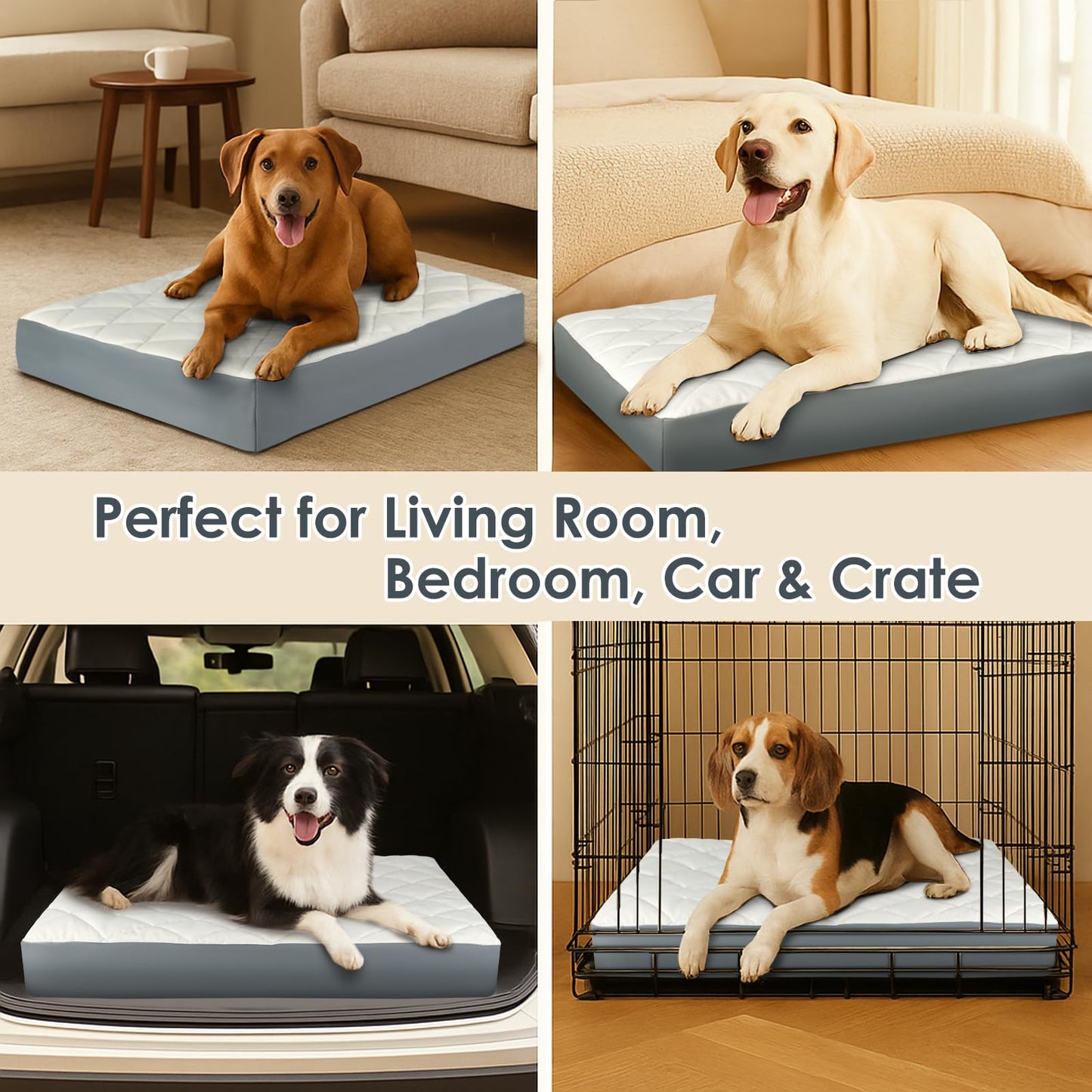 35.5" x 23.5" x 4.7" Large Orthopedic Dog Beds, Water-Resistant Faux Leather Memory Foam Dog Bed, Egg Crate Foam Support & Non-Slip Bottom Pet Beds for Medium Dogs and Large Dogs, Easy to Clean