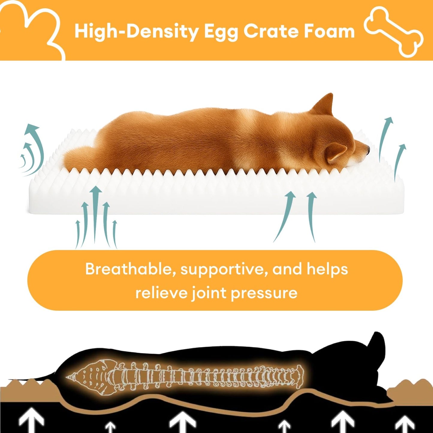 FUNNY FUZZY Orthopedic Dog Bed – Washable Dog Bed with Double Layer Plush Cushion Sofa Style Design with Bolstered Sides for Small Medium & Large Dogs Removable Cover M Size (23.6"x19.7"x6.9") Beige