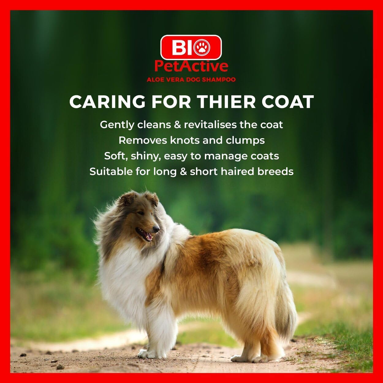 Bio PetActive Aloe Vera Extract Shampoo for Dogs - Cleansing & Moisturizing Care for Sensitive and Normal Skin, Paraben Free, pH Balanced + Natural Ingredients - 13.53 Fl oz