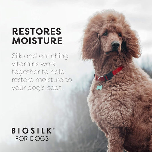 Unscented Dog Shampoo for Sensitive Skin by Shiny Paw 16 oz | Hypoallergenic Tearless Dog Shampoo Itchy Skin Relief | Dandruff Free | Made in USA