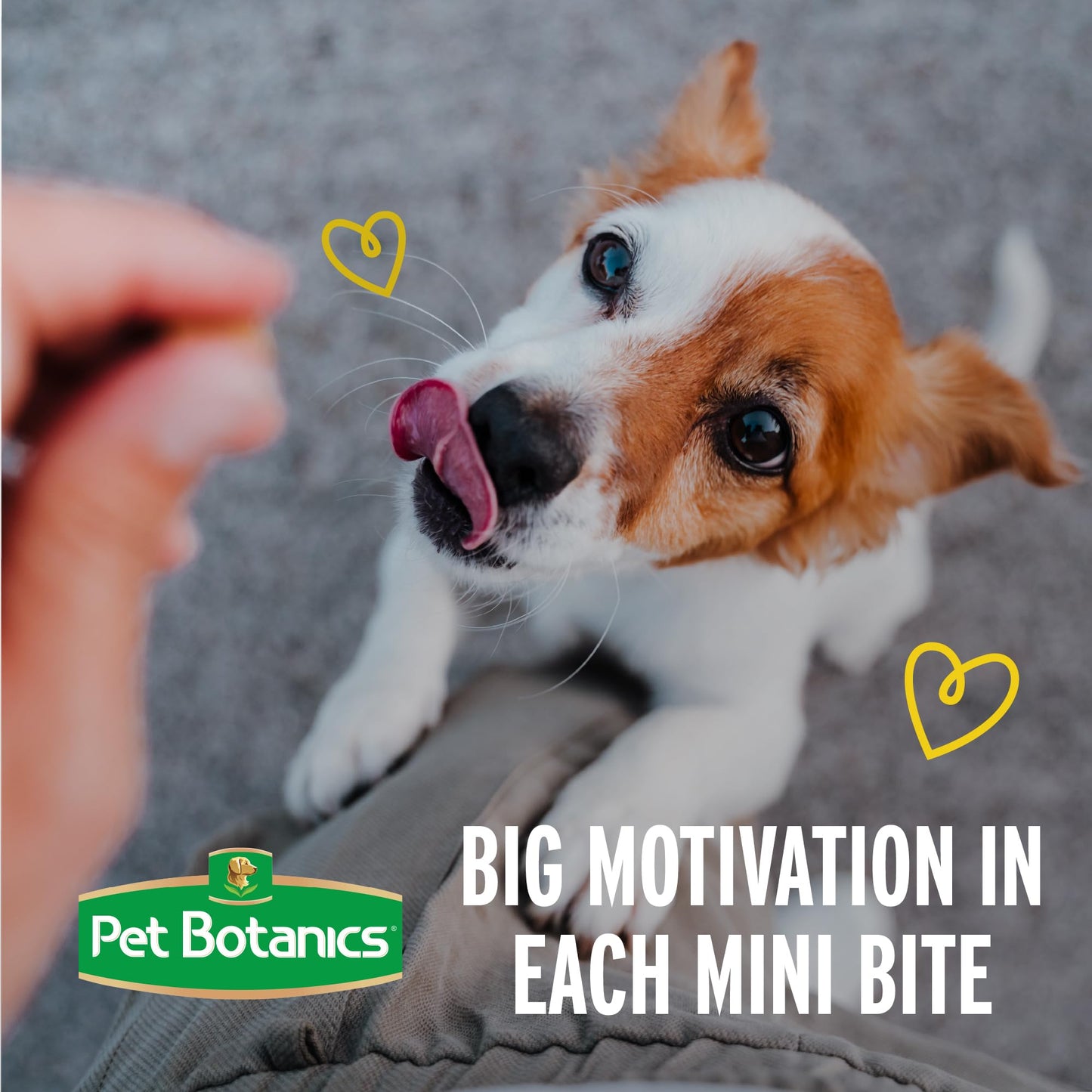 Pet Botanics 4 oz. Pouch Training Rewards Mini Soft & Chewy, Chicken Flavor, with 200 Treats Per Bag, The Choice of Top Trainers