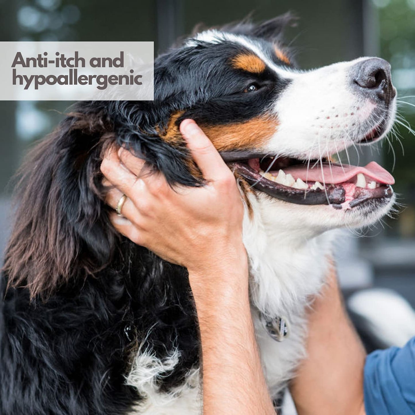 Mighty Mutt Natural Deodorizing Dog Spray | Odor Control and Freshening | Dog Spray for Smelly Dogs | Hypoallergenic, Calming and Moisturizing | Soft Rain, 8oz