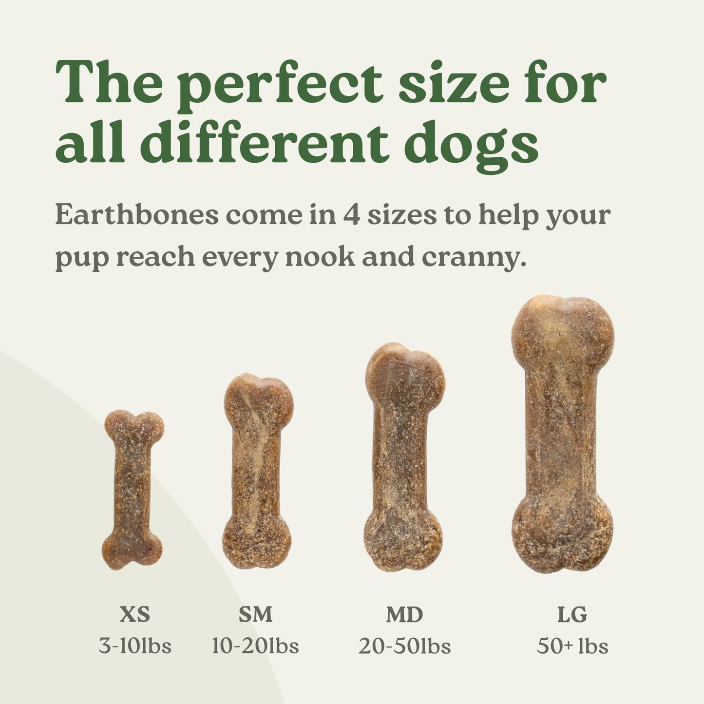 Presidio Earthbones (Formerly Terrabones) Dental Chews, Dog Teeth Cleaning Treat, Small, 13 Treats