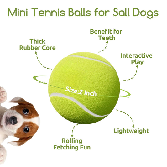 susu & wuwu 12 Pack Mini Tennis Balls for Small Dogs, 2 Inch Small Tennis Balls for Dog Interactive Playing Fetching Training, Puppy Toys to Keep Them Busy