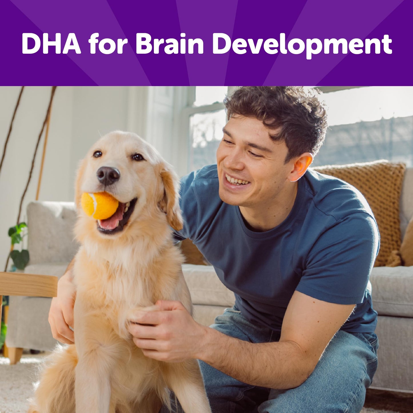 Wellness Rewarding Life Dog Treats, Training Treat, Grain Free, Soft Lamb & Salmon (6 Ounce Bag)