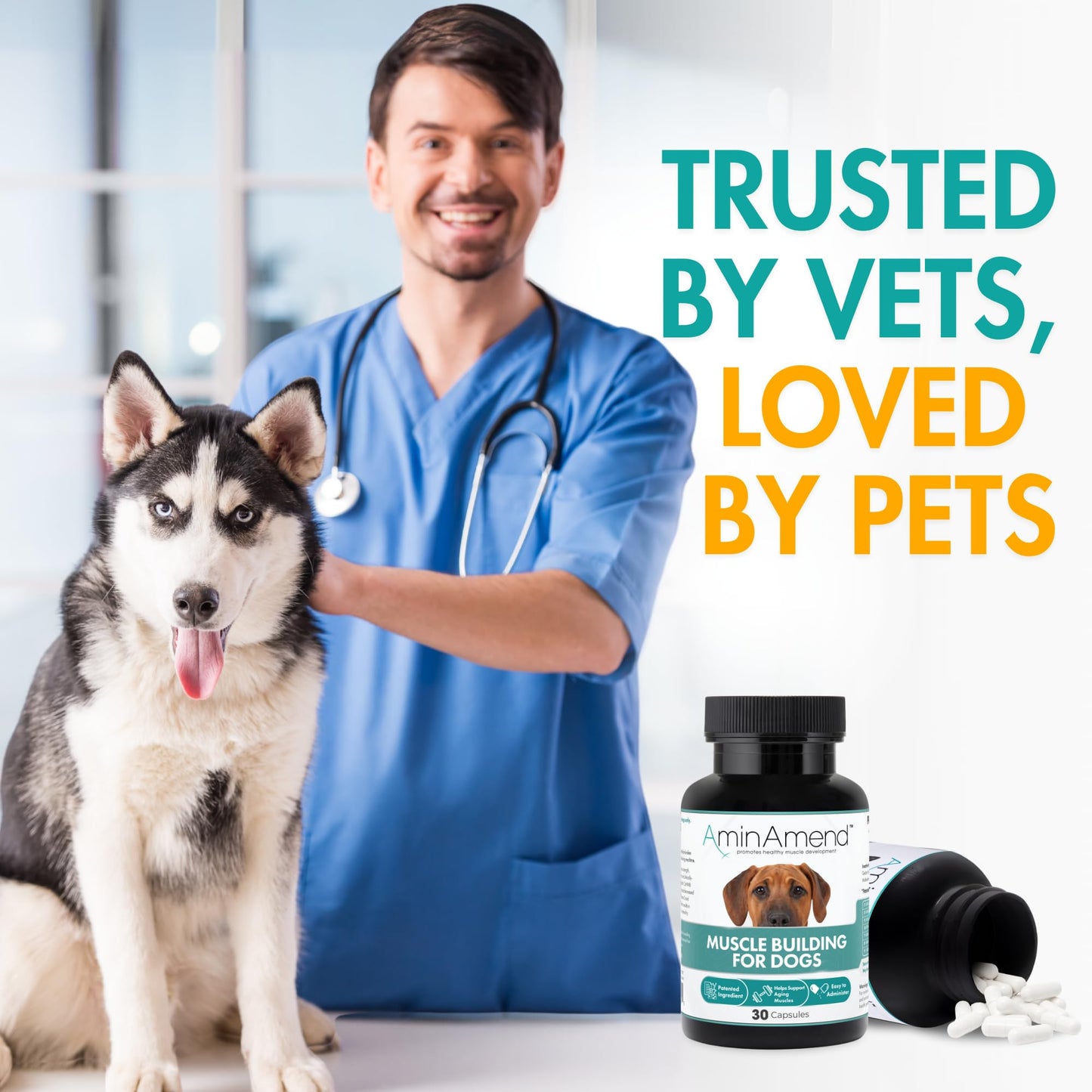 AminAmend Muscle Support Dog Supplements for Large Breed (21lbs+) with CaHMB & Vitamin D3 – Supports Strength, Mobility & Daily Activity for All Ages & Senior Dog – (30 Capsules)