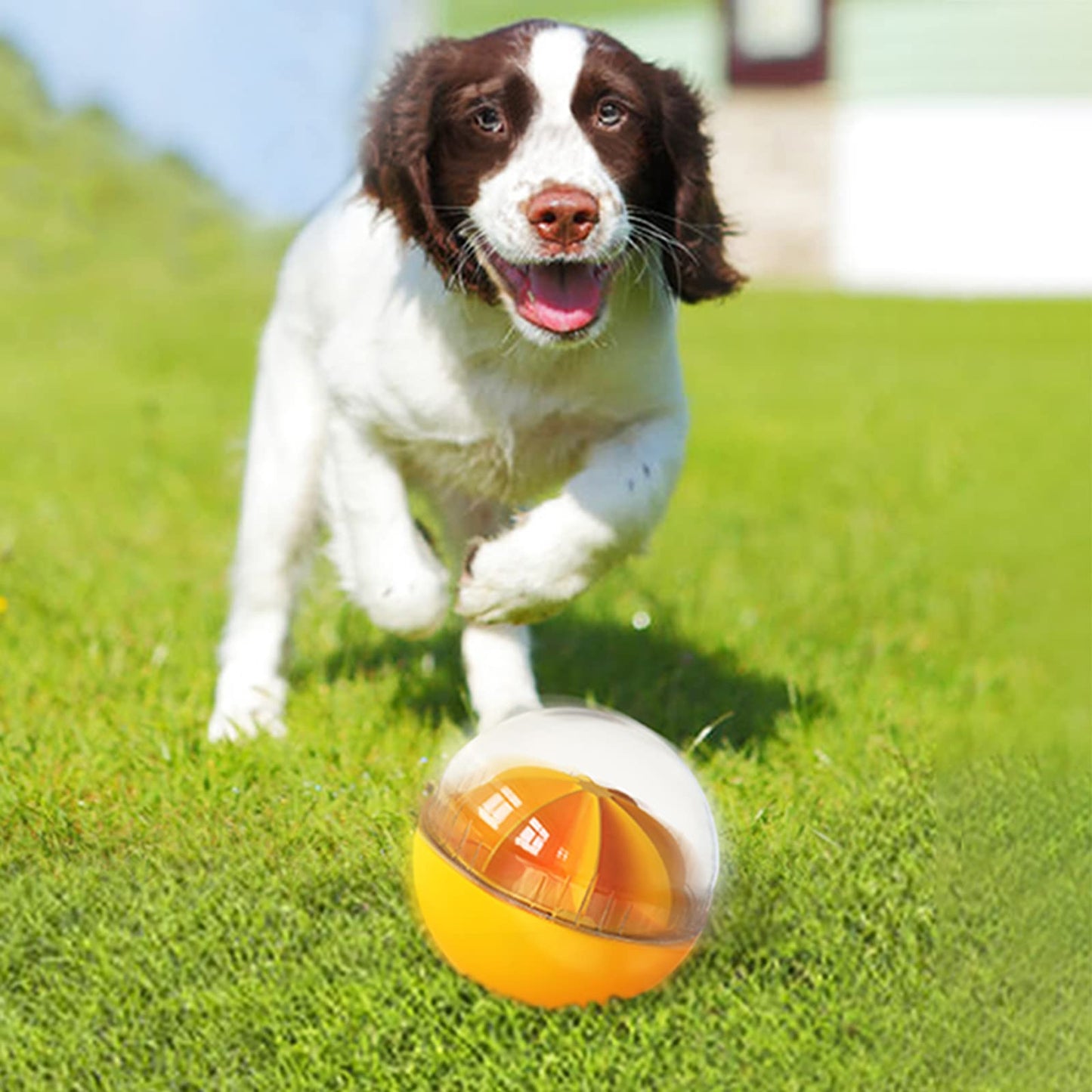 Monotre Dog Treat Ball, Interactive Squeaky Mental Stimulation Toys, Slow Feeder Puzzle Toys for Medium/Large Dog Breeds