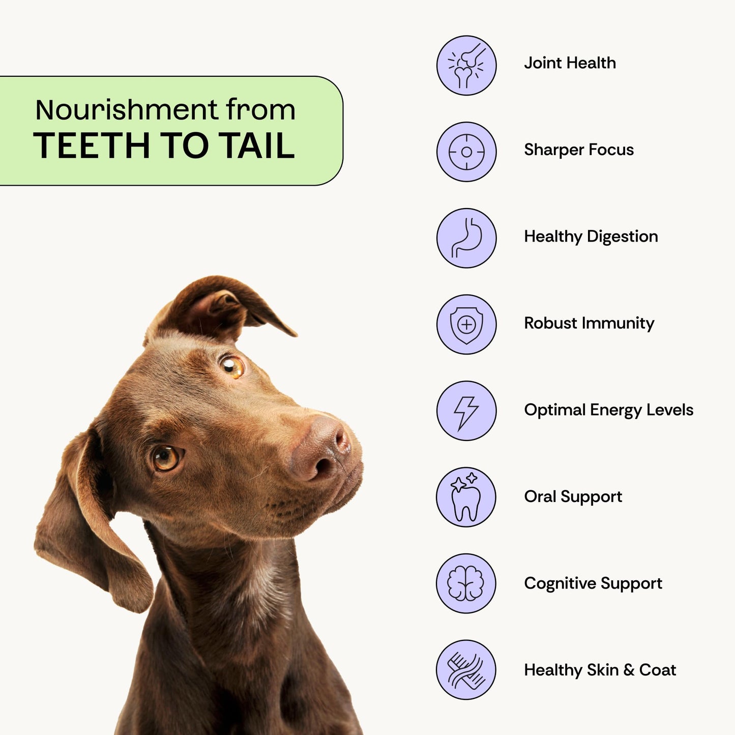 Daily Prebiotic + Postbiotic Dog Supplement Powder | 12-in-1 Support for Gut, Joints, Allergy, Immunity, Calming & Oral Health | Human-Grade Ingredients, No Artificial Flavors-No Fillers - 30 Sachets