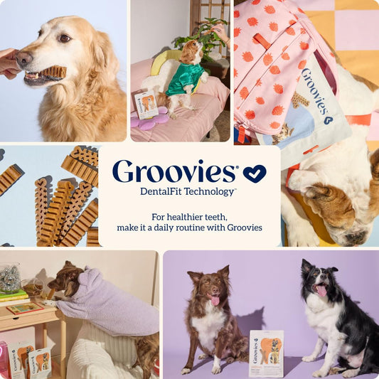 Groovies Original Dog Dental Chew Individually Wrapped Small (40 ea)