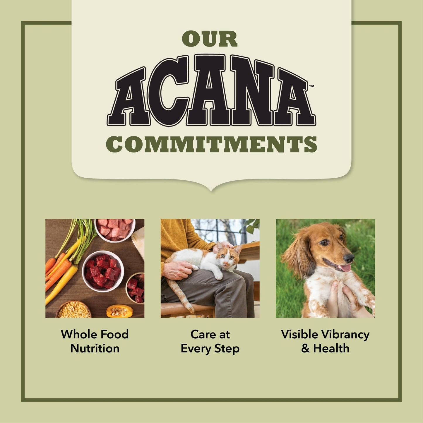 ACANA Wholesome Grains Dry Dog Food Puppy Sea & Farm Recipe 4lb Bag