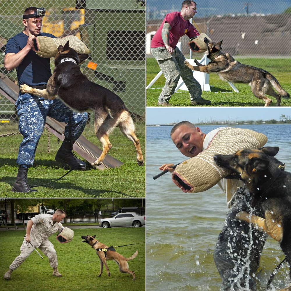 Dog Bite Training Set Professional Dog Bite Sleeve Arm with Whip Agitation Stick for Dogs Training Equipment Protection for Biting Playing Tugging Toy Interactive Pitbull German Shepherd Puppy K9